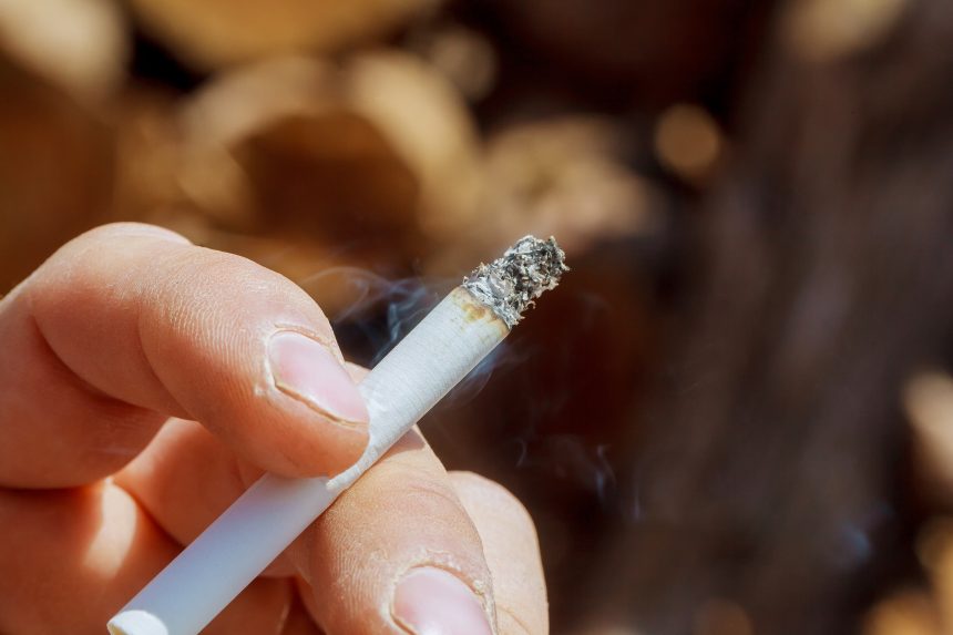 Los españoles avalan prohibir fumar en espacio al aire libre