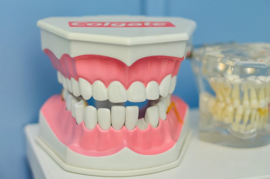La dentición temporal