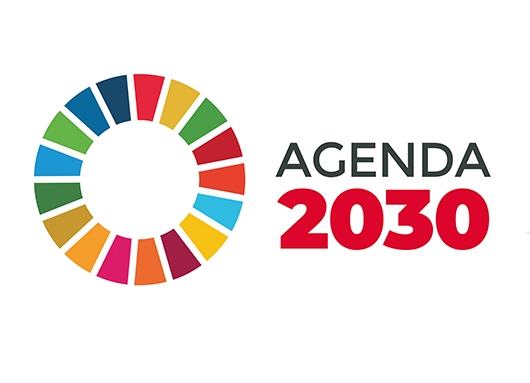 Un repaso por la Agenda 2030: ¿conoces sus objetivos?